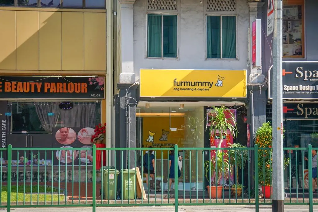 Furmummy Pte Ltd, dog boarding in Balestier Road, Singapore.