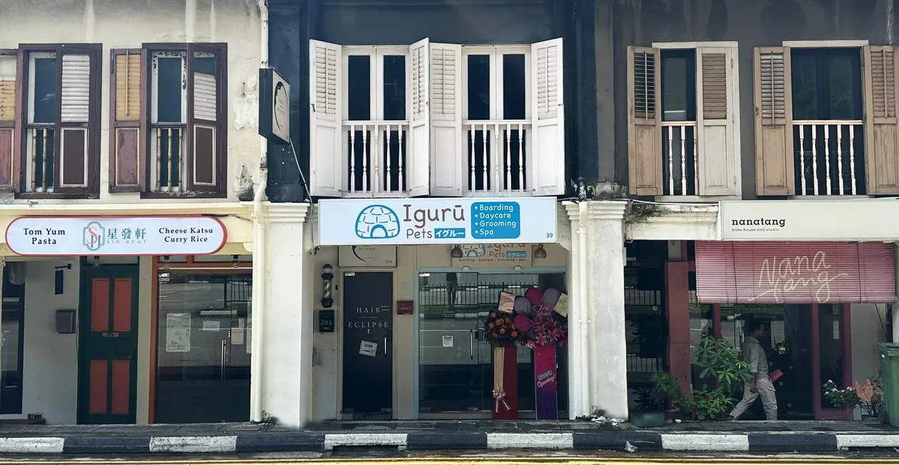 Iguru Pets Pte Ltd, dog boarding in Kampong Bahru Road, Singapore.
