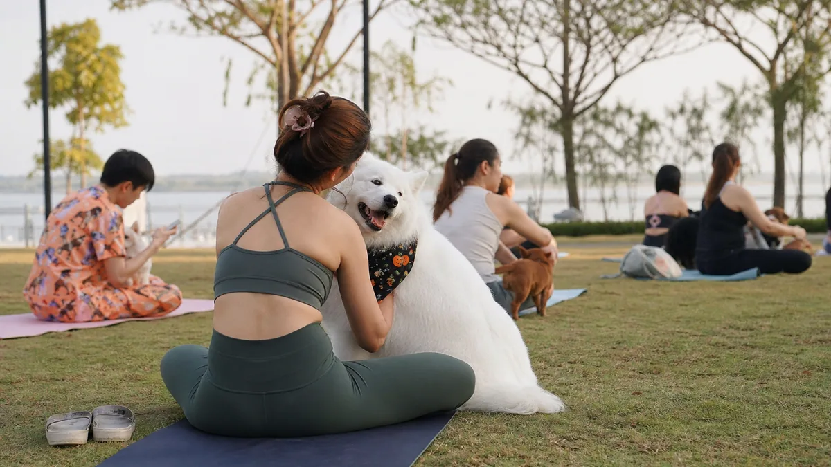 Punggol Coast Halloween Yoga with Your Dogs in Singapore