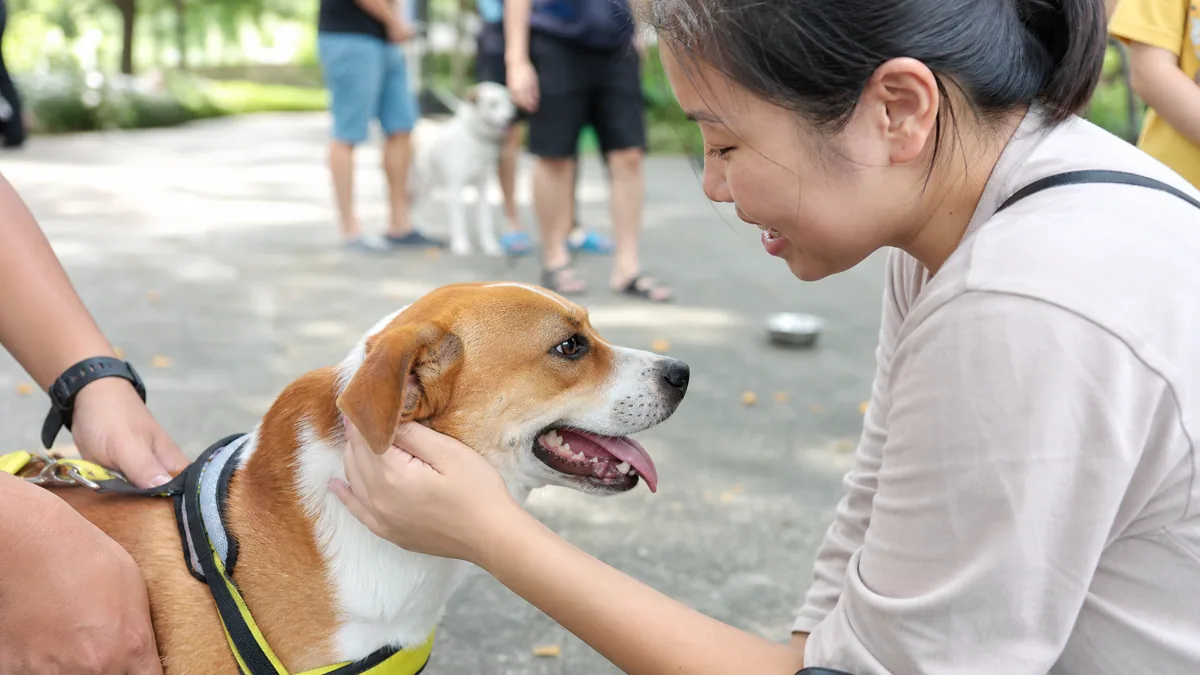 Woodlands Zone 2 RN - Pawtection Day!- All pets Edition 2026 in Singapore