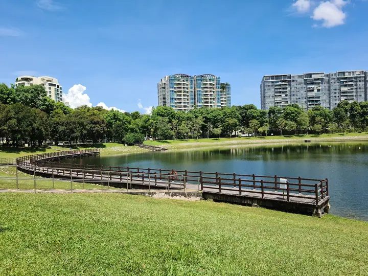 A dog at Bedok Reservoir Park Connector in Singapore.