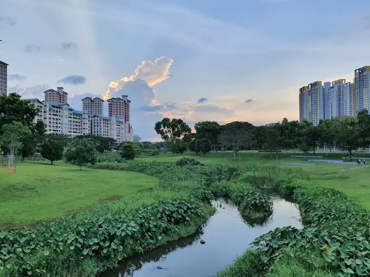 A calm dog on a leash standing on a quiet park path at Bishan-Ang Mo Kio Park in Ang Mo Kio / Bishan, Singapore, lush tropical greenery and soft afternoon light.