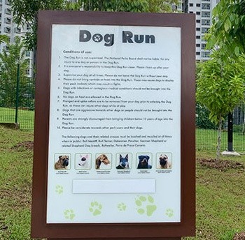 Dog enjoying time at Bukit Gombak Park Dog Run in Singapore.