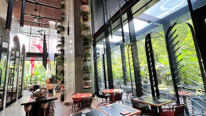Café Quenino, a dog-friendly cafe in Cuscaden Rd in Singapore