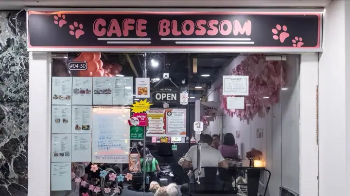 Cafe Blossom, a dog-friendly cafe in Orchard Towers in Singapore