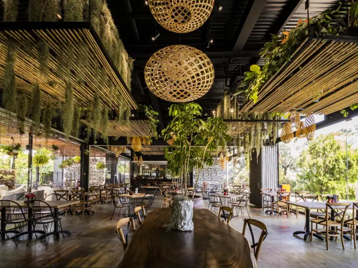 A large dog resting on the timber decking of Canopy HortPark in Alexandra, Singapore, with the bistro's open kitchen and the surrounding HortPark gardens visible in the background.