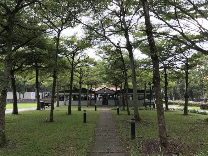 A calm dog on a leash standing on a quiet park path at Choa Chu Kang Park in Choa Chu Kang, Singapore, lush tropical greenery and soft afternoon light.