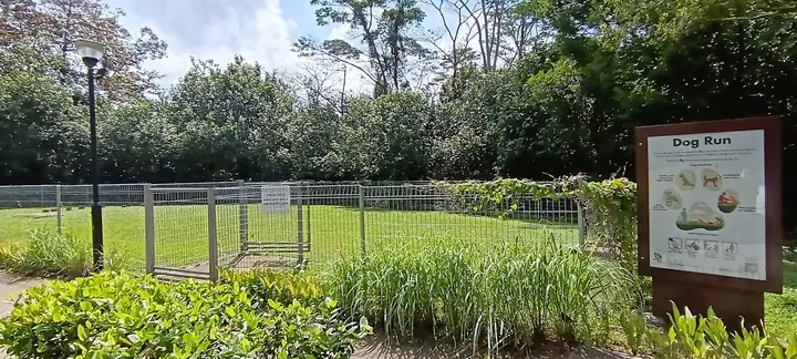 Dog enjoying time at Choa Chu Kang Park Dog Run in Singapore.