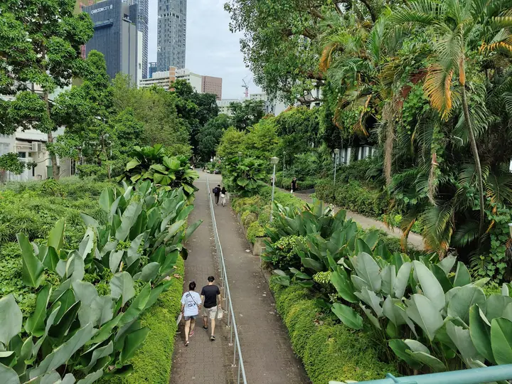 A dog at Duxton Plain Park in Singapore.