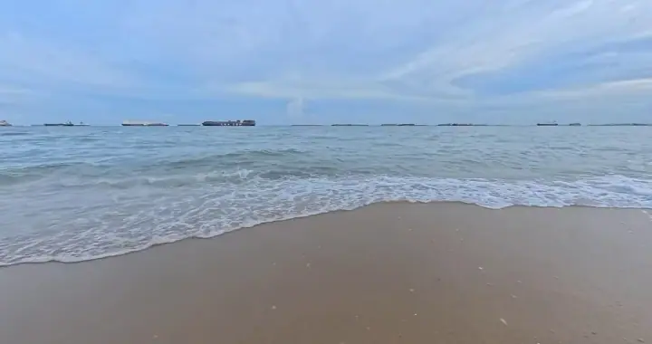 A calm dog on the sand at East Coast Park Beach in East Coast, Singapore, with gentle waves and warm golden-hour light, a few paw-prints softly in the foreground.