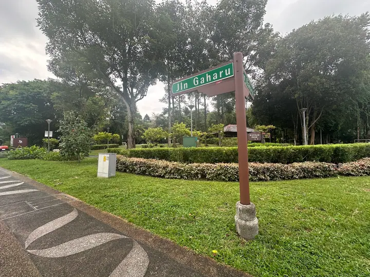 Dog enjoying time at Mayfair Park Dog Run in Singapore.