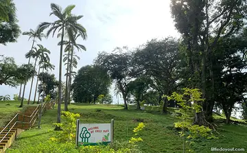 A dog at Mount Emily Park in Singapore.