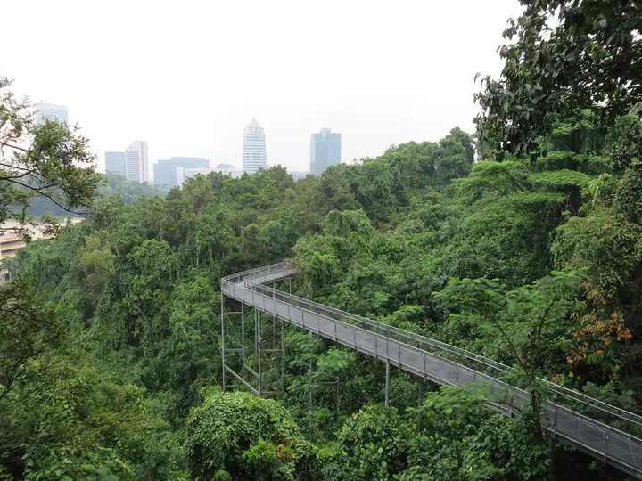 A dog at Mount Faber Park in Singapore.