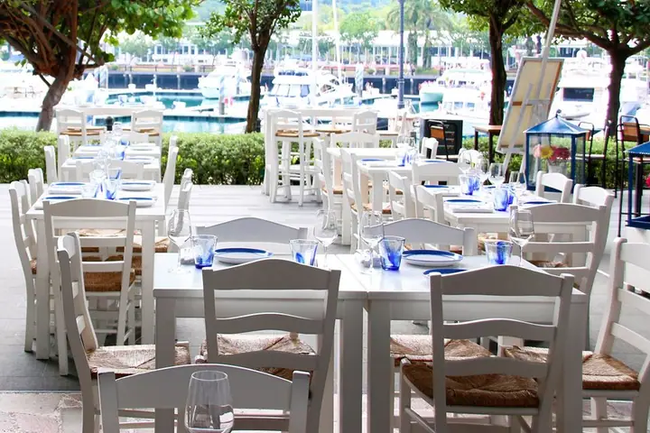A dog at Mykonos On The Bay in Singapore.