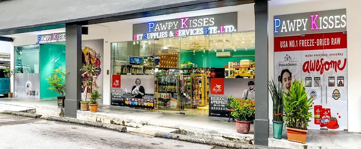 A dog at Pawpy Kids in Singapore.