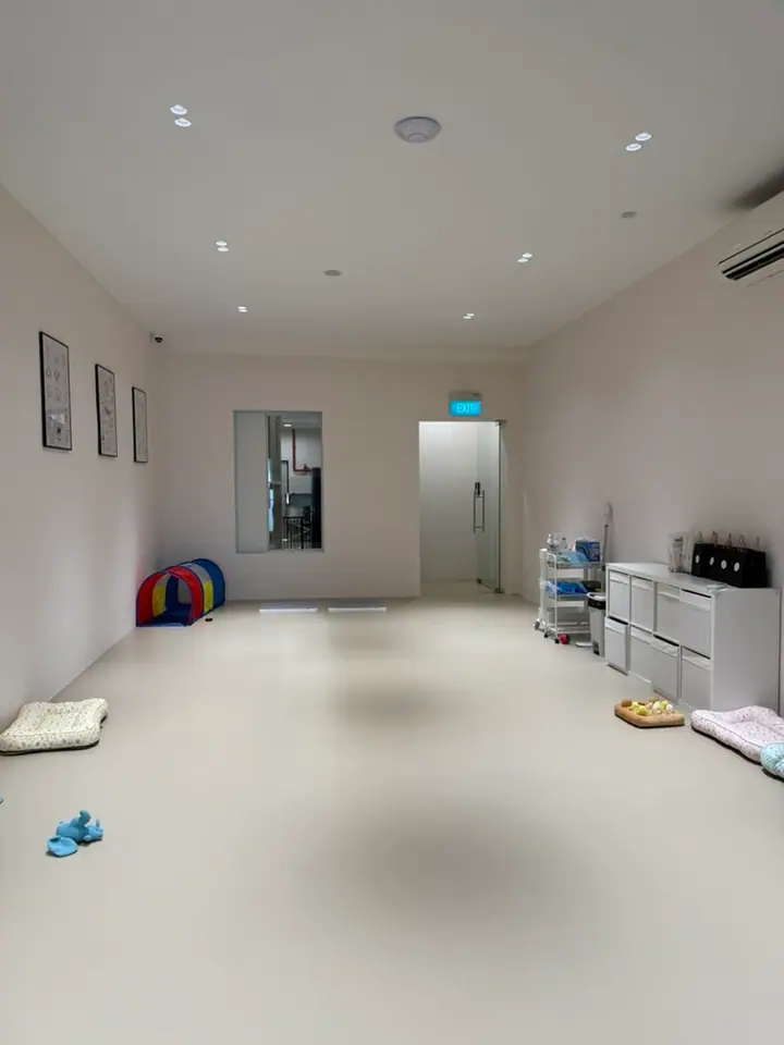 A dog at Pawtel and Friends in Singapore.