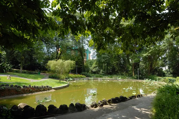 A dog at Pearl's Hill City Park in Singapore.