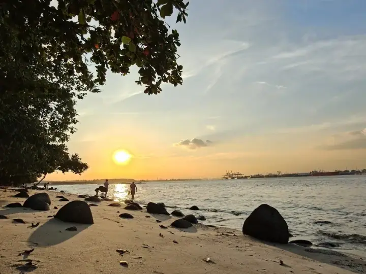 A calm dog on the sand at Punggol Beach in Punggol Point, Singapore, with gentle waves and warm golden-hour light, a few paw-prints softly in the foreground.