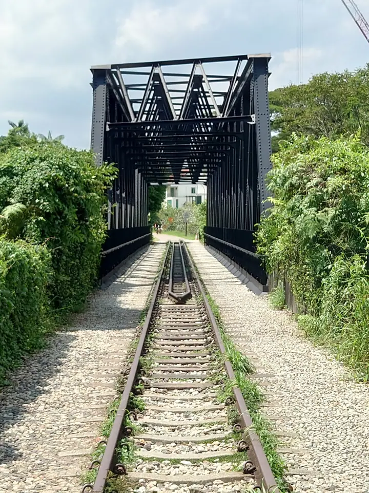 A dog at Rail Corridor South in Singapore.