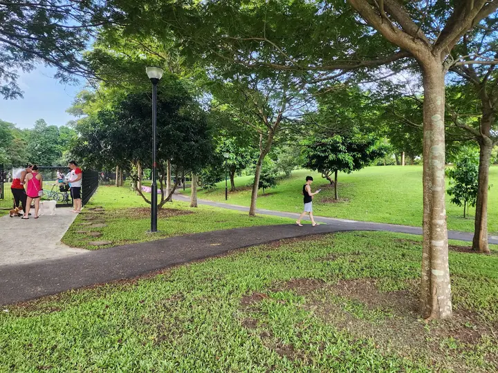 Dog enjoying time at Sengkang Dog Run in Singapore.