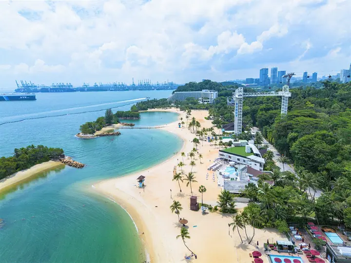 A dog at Siloso Beach in Singapore.