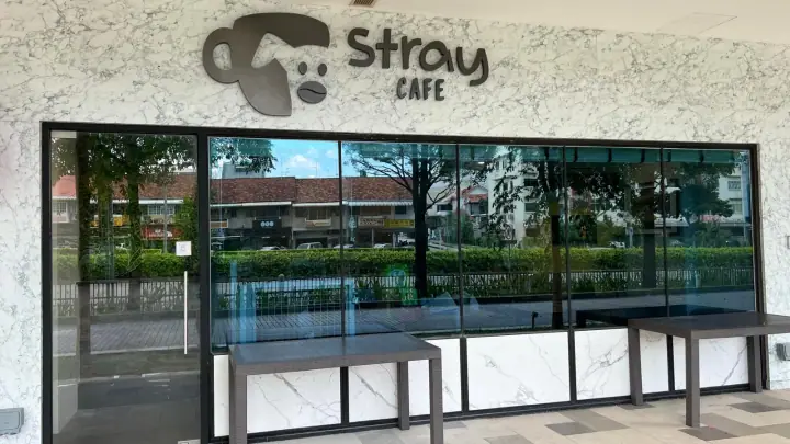Stray Cafe, a dog-friendly cafe in Kensington Square in Singapore
