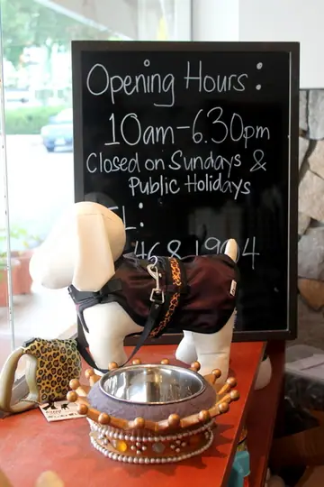 A dog at Suds and Scissors Pet Parlour in Singapore.