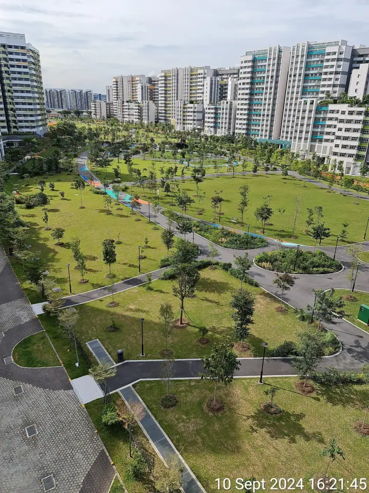A dog walking on the curved pathway of the newly-opened Tampines Boulevard Park on Tampines Avenue 12, Singapore, with the hilly nature playgarden and young rain trees visible across the lawn.