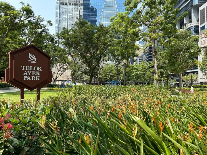 A dog at Telok Ayer Park in Singapore.