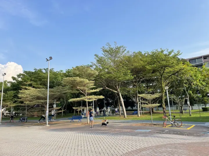 A dog walking on the shaded pathway of Telok Kurau Park in the Frankel residential pocket, Singapore, with mature rain trees overhead and a quiet residential street visible through the trees.