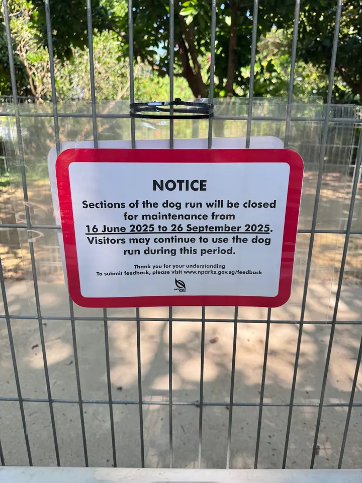 Dog enjoying time at Telok Kurau Dog Run in Singapore.