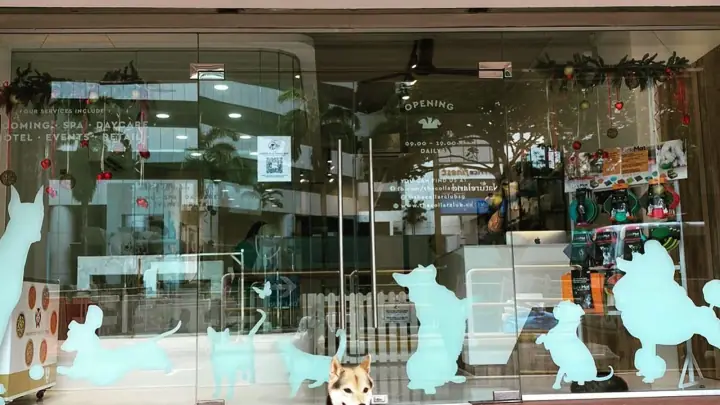 The Collar Club River Valley, a dog-friendly shop in River Valley Rd in Singapore