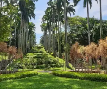 Ang Mo Kio Town Garden West, Park in Ang Mo Kio
