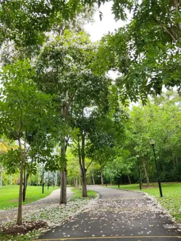 Bedok Town Park Dog Run, Dog Run in Bedok