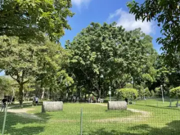 Bishan-Ang Mo Kio Park Dog Run, Dog Run in Ang Mo Kio