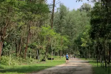 Coney Island Park, Park in Punggol / Pulau Serangoon