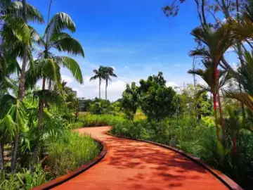 Jurong Lake Gardens, Park in Jurong Lake