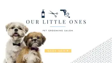 OLO.SG Lavender, Groomer in Lavender