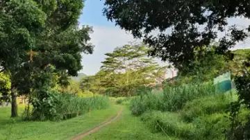 Rail Corridor North, Trail in Kranji