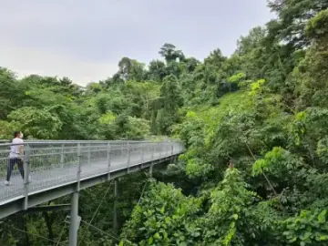 Southern Ridges Trail, Trail in Telok Blangah / Pasir Panjang