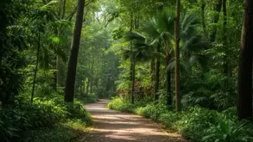 Tampines Park Connector, Trail in Tampines