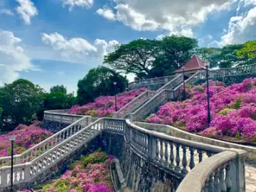 Telok Blangah Hill Park, Park in Telok Blangah