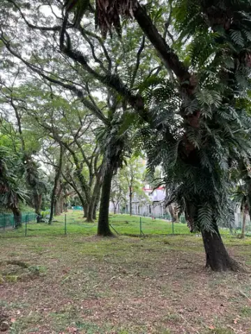 Tiong Bahru Sit Wah Dog Run, Dog Run in Tiong Bahru