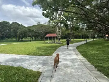 West Coast Park Dog Run, Dog Run in West Coast / Pasir Panjang