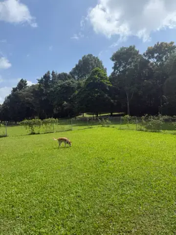 Woodlands Waterfront Park Dog Run, Dog Run in Woodlands