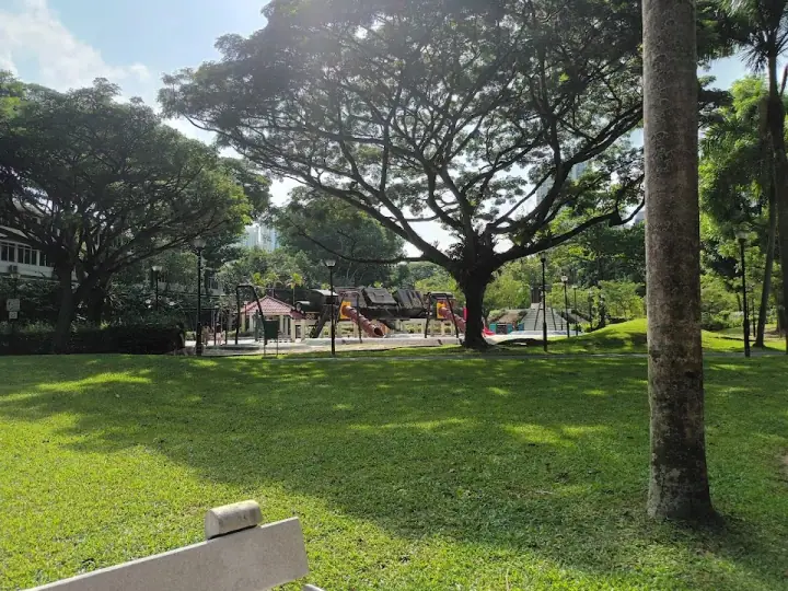 A calm dog at rest in the shade at Tiong Bahru Park Dog Run in Tiong Bahru, Singapore, a fenced dog run with soft grass and gentle afternoon light.