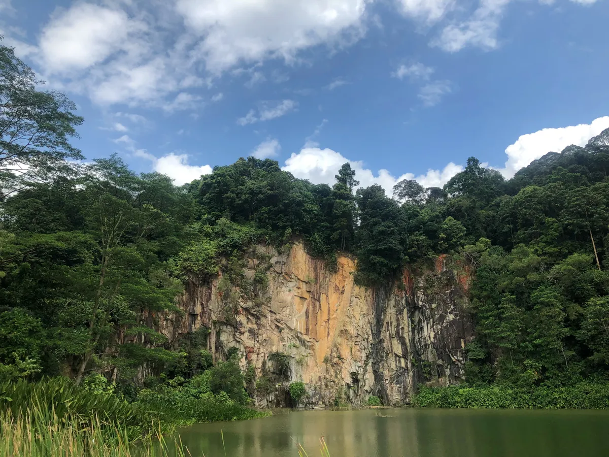 The rock face, trees and water at Singapore Quarry in Dairy Farm Nature Park.