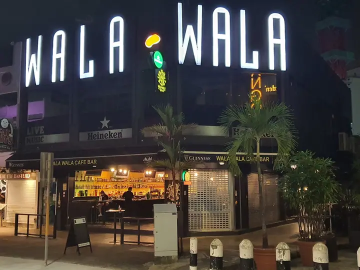 A dog at Wala Wala Cafe Bar in Singapore.
