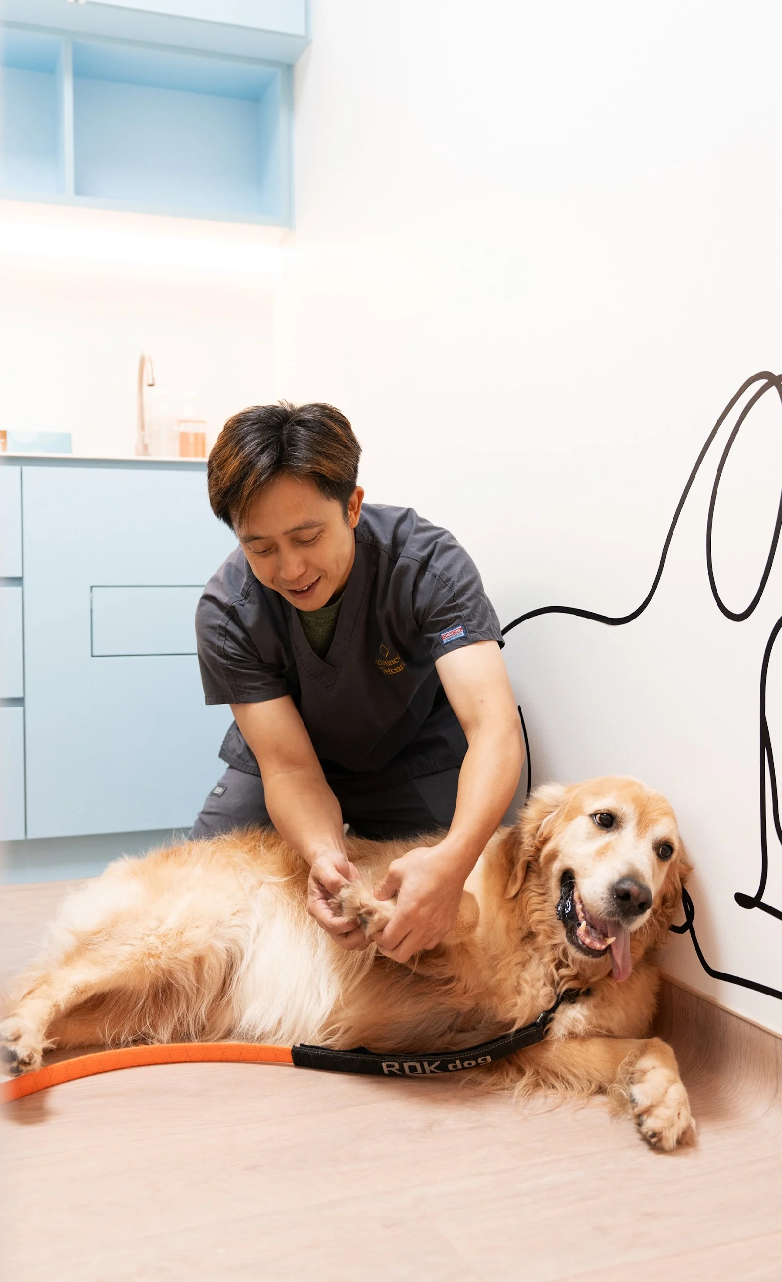Advanced Vetcare Veterinary Centre (Outram)