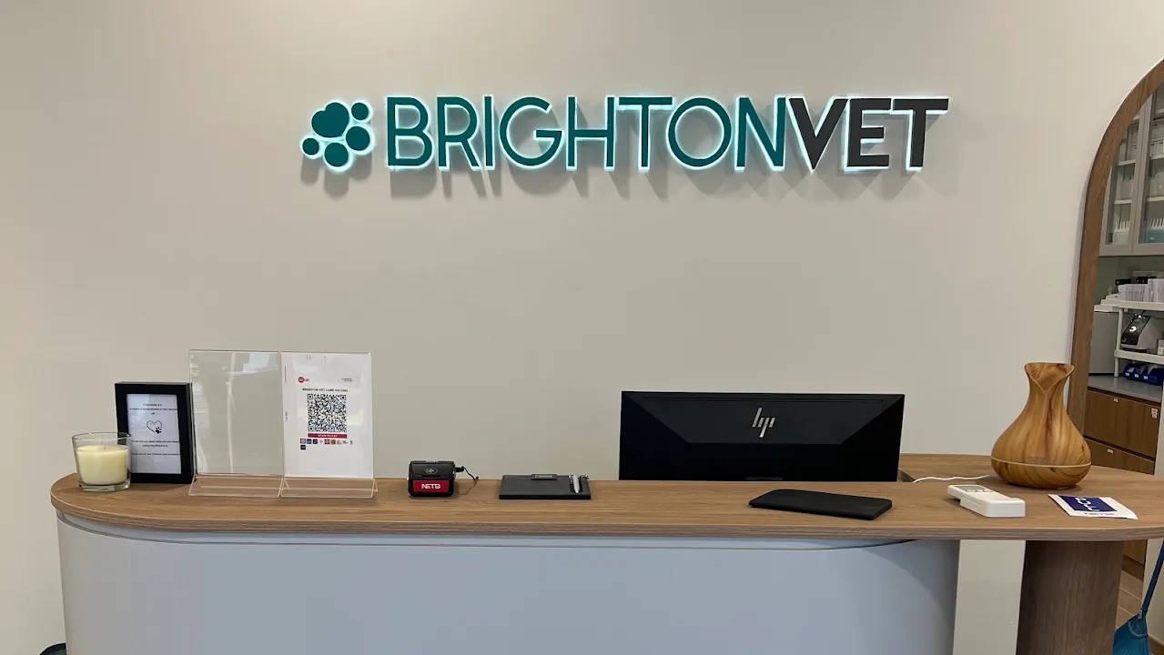 Brighton Vet Care (Katong) clinic exterior